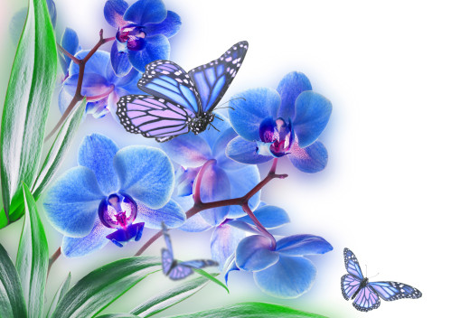 812826 (a): :2500x1690